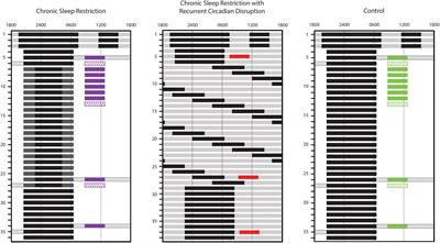 Chronic Sleep Restriction While Minimizing Circadian Disruption Does Not Adversely Affect Glucose Tolerance